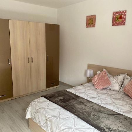 Rebeca Apartament Lugoj Dış mekan fotoğraf