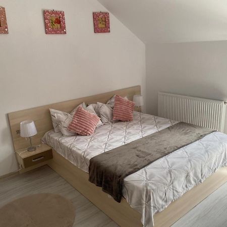 Rebeca Apartament Lugoj Dış mekan fotoğraf