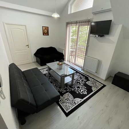 Rebeca Apartament Lugoj Dış mekan fotoğraf
