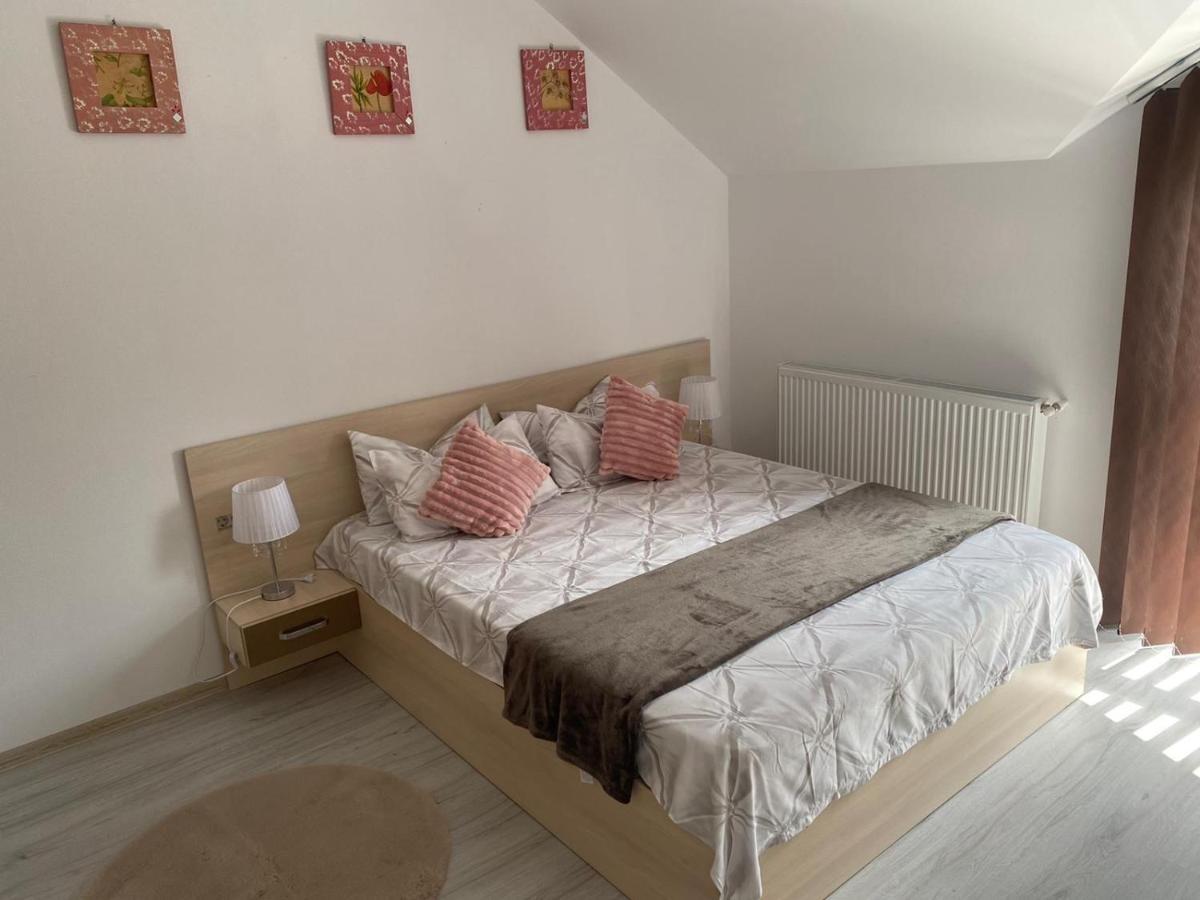 Rebeca Apartament Lugoj Dış mekan fotoğraf