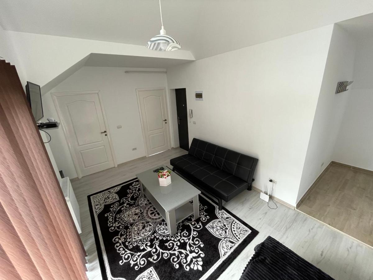 Rebeca Apartament Lugoj Dış mekan fotoğraf
